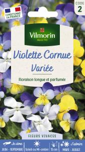 Viola Cornuta Variée